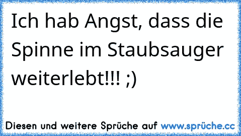 Ich hab Angst, dass die Spinne im Staubsauger weiterlebt!!! ;)