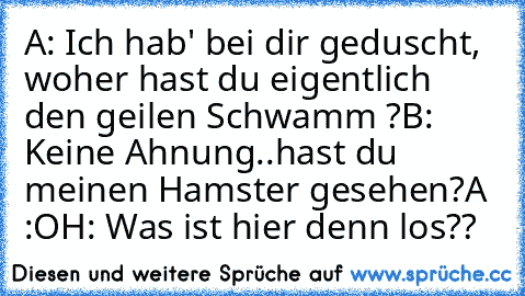 A: Ich hab' bei dir geduscht, woher hast du eigentlich den geilen Schwamm ?
B: Keine Ahnung..hast du meinen Hamster gesehen?
A :O
H: Was ist hier denn los??