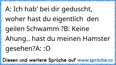 A: Ich hab' bei dir geduscht, woher hast du eigentlich  den geilen Schwamm ?
B: Keine Ahung.. hast du meinen Hamster gesehen?
A: :O