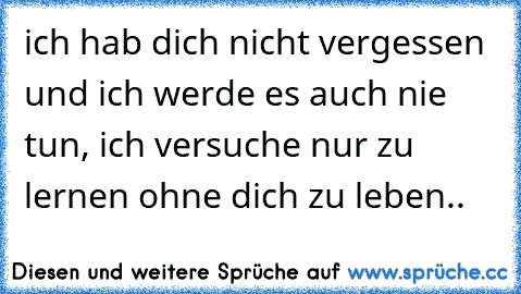 ich hab dich nicht vergessen und ich werde es auch nie tun, ich versuche nur zu lernen ohne dich zu leben..