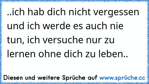 ..ich hab dich nicht vergessen und ich werde es auch nie tun, ich versuche nur zu lernen ohne dich zu leben..