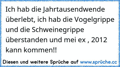 Ich hab die Jahrtausendwende überlebt, ich hab die Vogelgrippe und die Schweinegrippe überstanden und mei ex , 2012 kann kommen!!