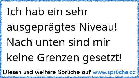 Ich hab ein sehr ausgeprägtes Niveau! Nach unten sind mir keine Grenzen gesetzt!