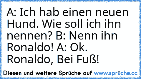 A: Ich hab einen neuen Hund. Wie soll ich ihn nennen? B: Nenn ihn Ronaldo! A: Ok. Ronaldo, Bei Fuß!