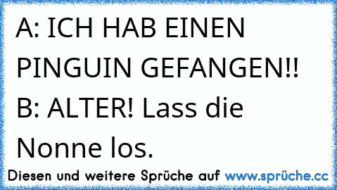 A: ICH HAB EINEN PINGUIN GEFANGEN!! 
B: ALTER! Lass die Nonne los.