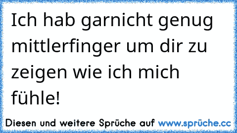 Ich hab garnicht genug mittlerfinger um dir zu zeigen wie ich mich fühle!