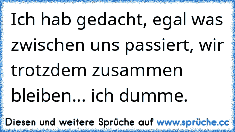 Ich hab gedacht, egal was zwischen uns passiert, wir trotzdem zusammen bleiben... ich dumme.