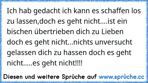 Ich hab gedacht ich kann es schaffen los zu lassen,doch es geht nicht....ist ein bischen übertrieben dich zu Lieben doch es geht nicht...nichts unversucht gelassen dich zu hassen doch es geht nicht.....es geht nicht!!!!