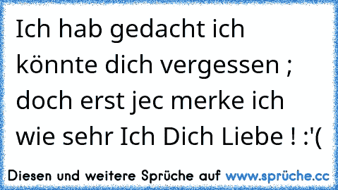 Ich hab gedacht ich könnte dich vergessen ; doch erst jec merke ich wie sehr Ich Dich Liebe ! :'( 