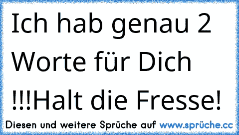 Ich hab genau 2 Worte für Dich !!!
Halt die Fresse!