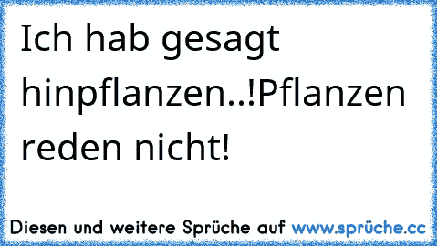 Ich hab gesagt hinpflanzen..!
Pflanzen reden nicht!