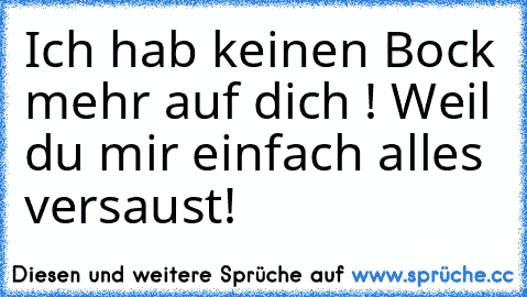 Ich hab keinen Bock mehr auf dich ! Weil du mir einfach alles versaust!