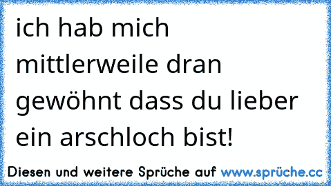 ich hab mich mittlerweile dran gewöhnt dass du lieber ein arschloch bist!