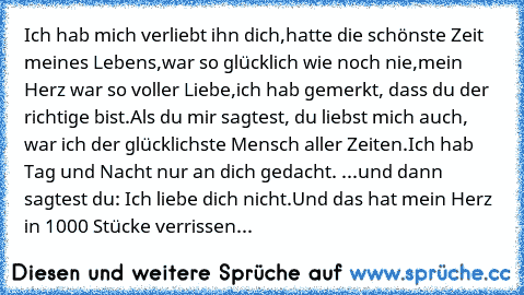 Ich hab mich verliebt ihn dich,
hatte die schönste Zeit meines Lebens,
war so glücklich wie noch nie,
mein Herz war so voller Liebe,
ich hab gemerkt, dass du der richtige bist.
Als du mir sagtest, du liebst mich auch, war ich der glücklichste Mensch aller Zeiten.
Ich hab Tag und Nacht nur an dich gedacht. 
...und dann sagtest du: Ich liebe dich nicht.
Und das hat mein Herz in 1000 Stücke verris...