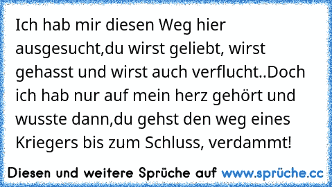 Ich hab mir diesen Weg hier ausgesucht,
du wirst geliebt, wirst gehasst und wirst auch verflucht..
Doch ich hab nur auf mein herz gehört und wusste dann,
du gehst den weg eines Kriegers bis zum Schluss, verdammt!