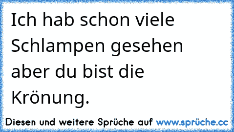 Ich hab schon viele Schlampen gesehen aber du bist die Krönung.