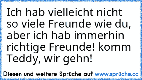 Ich hab vielleicht nicht so viele Freunde wie du, aber ich hab immerhin richtige Freunde! komm Teddy, wir gehn!