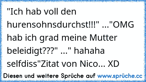 "Ich hab voll den hurensohnsdurchst!!!" ..."OMG hab ich grad meine Mutter beleidigt???" ..." hahaha selfdiss"
Zitat von Nico... XD