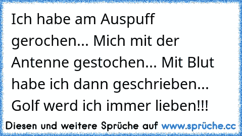 Ich habe am Auspuff gerochen... Mich mit der Antenne gestochen... Mit Blut habe ich dann geschrieben... Golf werd ich immer lieben!!!