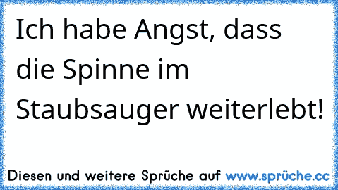 Ich habe Angst, dass die Spinne im Staubsauger weiterlebt!