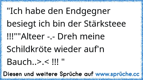 "Ich habe den Endgegner besiegt ich bin der Stärksteee !!!"
"Alteer -.- Dreh meine Schildkröte wieder auf'n Bauch..>.< !!! "