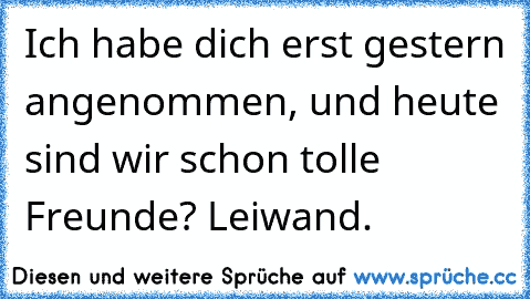 Ich habe dich erst gestern angenommen, und heute sind wir schon tolle Freunde? Leiwand.