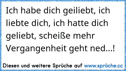 Ich habe dich geiliebt, ich liebte dich, ich hatte dich geliebt, scheiße mehr Vergangenheit geht ned...!