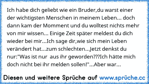 Ich habe dich geliebt wie ein Bruder,du warst einer der wichtigsten Menschen in meinem Leben... doch dann kam der Momment und du wolltest nichts mehr von mir wissen... Einige Zeit später meldest du dich wieder bei mir...Ich sage dir,wie sich mein Leben verändert hat...zum schlechten...Jetzt denkst du  nur:"Was ist nur  aus ihr geworden???Ich hätte mich doch nicht bei ihr melden sollen!"...Aber ...