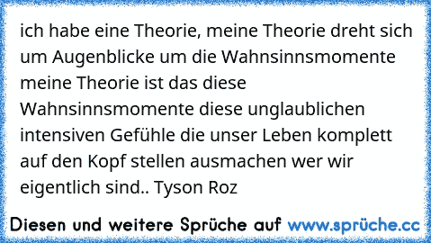 ich habe eine Theorie, meine Theorie dreht sich um Augenblicke um die Wahnsinnsmomente meine Theorie ist das diese Wahnsinnsmomente diese unglaublichen intensiven Gefühle die unser Leben komplett auf den Kopf stellen ausmachen wer wir eigentlich sind.. Tyson Roz