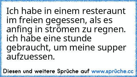 Ich habe in einem resteraunt im freien gegessen, als es anfing in strömen zu regnen. ich habe eine stunde gebraucht, um meine supper aufzuessen.