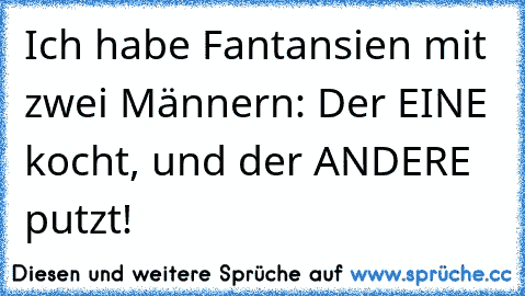 Ich habe Fantansien mit zwei Männern: Der EINE kocht, und der ANDERE putzt!