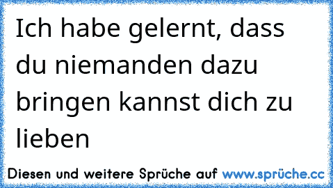 Ich habe gelernt, dass du niemanden dazu bringen kannst dich zu lieben