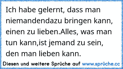 Ich habe gelernt, dass man niemanden
dazu bringen kann, einen zu lieben.
Alles, was man tun kann,
ist jemand zu sein, den man lieben kann.