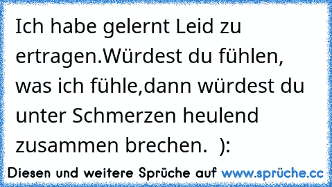 Ich habe gelernt Leid zu ertragen.
Würdest du fühlen, was ich fühle,
dann würdest du unter Schmerzen heulend zusammen brechen.  ):