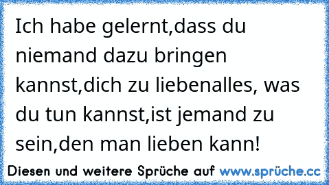 Ich habe gelernt,
dass du niemand dazu bringen kannst,
dich zu lieben
alles, was du tun kannst,
ist jemand zu sein,
den man lieben kann! ♥