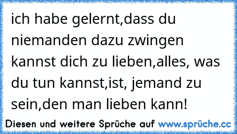 ich habe gelernt,
dass du niemanden dazu zwingen kannst dich zu lieben,
alles, was du tun kannst,
ist, jemand zu sein,
den man lieben kann!