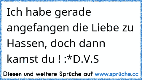 Ich habe gerade angefangen die Liebe zu Hassen, doch dann kamst du ! :*
D.V.S