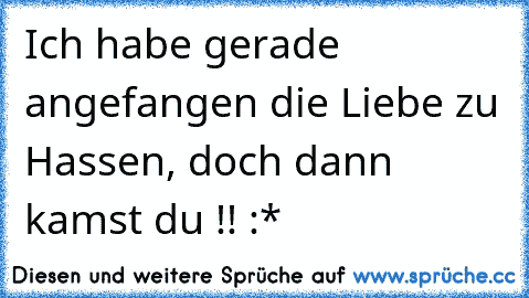 Ich habe gerade angefangen die Liebe zu Hassen, doch dann kamst du !! :*