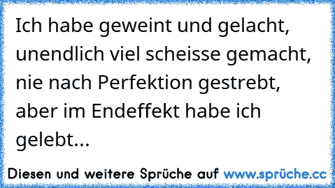 Ich habe geweint und gelacht, unendlich viel scheisse gemacht, nie nach Perfektion gestrebt, aber im Endeffekt habe ich gelebt...