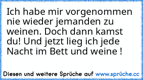 Ich habe mir vorgenommen nie wieder jemanden zu weinen. Doch dann kamst du! Und jetzt lieg ich jede Nacht im Bett und weine !