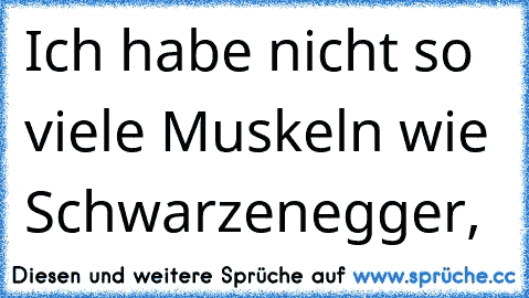 Ich habe nicht so viele Muskeln wie Schwarzenegger,