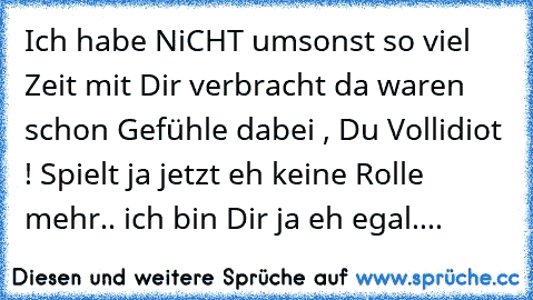 Ich habe NiCHT umsonst so viel Zeit mit Dir verbracht da waren schon Gefühle dabei , Du Vollidiot ! Spielt ja jetzt eh keine Rolle mehr.. ich bin Dir ja eh egal....