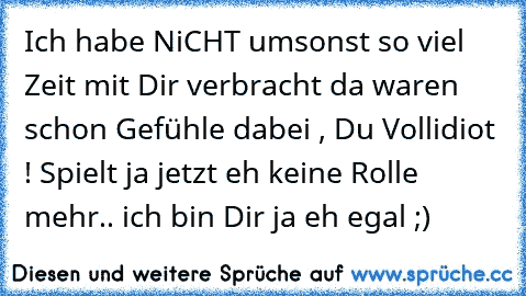 Ich habe NiCHT umsonst so viel Zeit mit Dir verbracht da waren schon Gefühle dabei , Du Vollidiot ! Spielt ja jetzt eh keine Rolle mehr.. ich bin Dir ja eh egal ;)