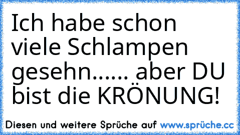 Ich habe schon viele Schlampen gesehn...
... aber DU bist die KRÖNUNG!