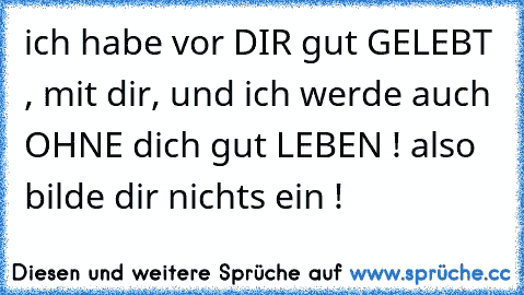 ich habe vor DIR gut GELEBT , mit dir, und ich werde auch OHNE dich gut LEBEN ! also bilde dir nichts ein !