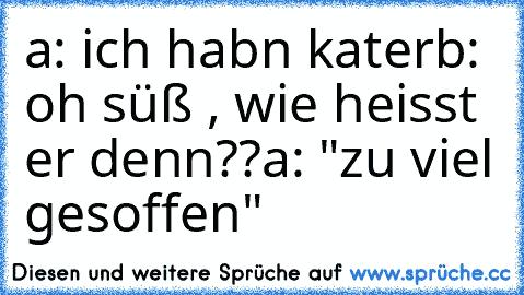 a: ich habn kater
b:  oh süß , wie heisst er denn??
a: "zu viel gesoffen"