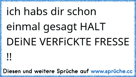 ich habs dir schon einmal gesagt HALT DEiNE VERFiCKTE FRESSE !!