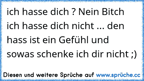 ich hasse dich ? Nein Bitch ich hasse dich nicht ... den hass ist ein Gefühl und sowas schenke ich dir nicht ;)