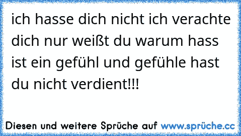 ich hasse dich nicht ich verachte dich nur weißt du warum hass ist ein gefühl und gefühle hast du nicht verdient!!!