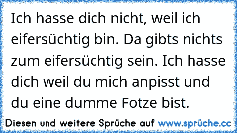 Ich hasse dich nicht, weil ich eifersüchtig bin. Da gibts nichts zum eifersüchtig sein. Ich hasse dich weil du mich anpisst und du eine dumme Fotze bist.